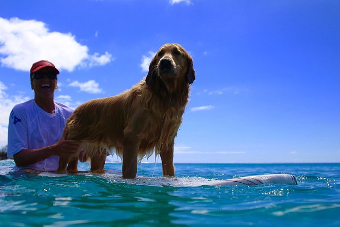 Surf Lessons on the North Shore of Oahu - Key Things You’ll Notice Right Away