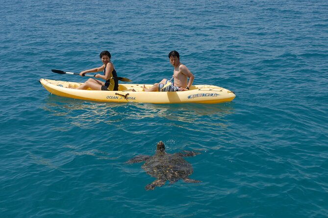 Swim with Dolphins Catamaran with Waterslide & Lunch on Oahu - Makaha snorkeling stop: turtles, reef fish, and the beach energy