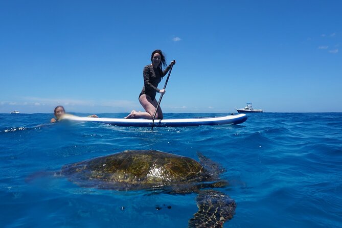 Swim with Dolphins Catamaran with Waterslide & Lunch on Oahu - Rinse, warm up, and keep the day comfortable