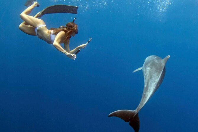 Swim with Dolphins Catamaran with Waterslide & Lunch on Oahu - Lunch and included snacks: what you’ll get and how to change it