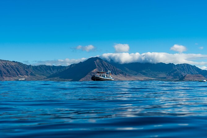Swimming with Wild Dolphins Speedboat Adventure on Oahu - A Speedboat Route Built for Dolphin Encounters (Waianae to West Oahu)