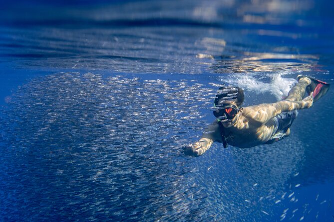 Swimming with Wild Dolphins Speedboat Adventure on Oahu - Stop Two in Makaha: Sandwiches and a Calm Reset