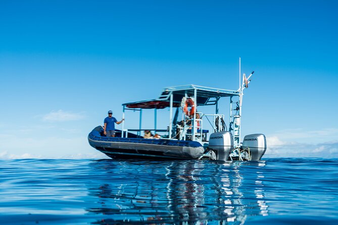 Swimming with Wild Dolphins Speedboat Adventure on Oahu - Getting to the Harbor: Pickup Times and Meeting Point Reality