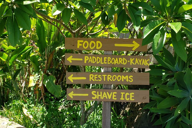 Tour of North Shore & Waimea Waterfall - East coastline stops: farms, Chinaman’s Hat, and movie-famous scenery