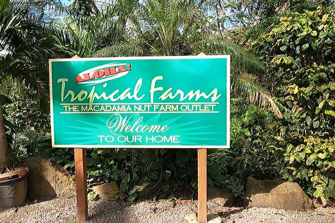 Tour of North Shore & Waimea Waterfall - Waimea Botanical Gardens: waterfall swim time and the rules to know