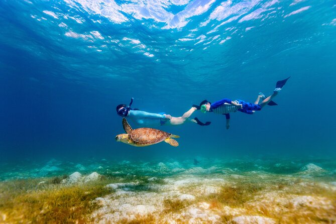 Turtle Canyon Snorkel Adventure - Small Group 6 Passengers - Turtle Canyon Snorkel from Waikiki: small group logic, real-world comfort