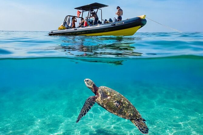 Turtle Canyon Snorkel Adventure - Small Group 6 Passengers - The 28-foot speedboat ride: what you gain by skipping the big-boat feel