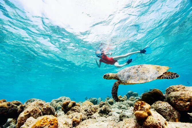 Turtle Canyon Snorkel Adventure - Small Group 6 Passengers - Gear, snacks, and small comforts that change the day
