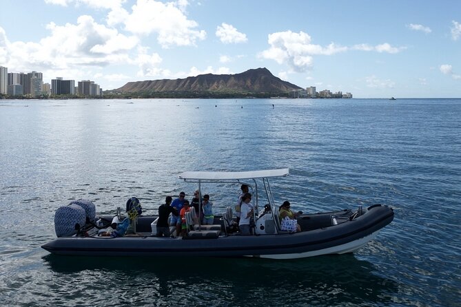 Turtle Canyon Snorkel: Semi Private Boat Tour - Turtle Canyon snorkel: sea turtles, the guide’s spotting game, and how to time your swims