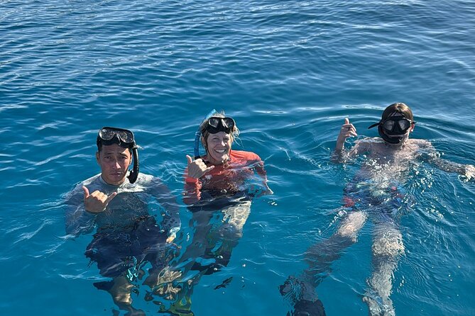 Turtle Canyon Snorkel Tour - Semi-private: 6 passenger max - Quick hits before you go