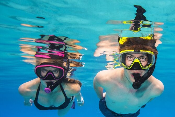 Turtle Canyon Waikiki Snorkel Adventure - Marine life sightings: what you can plan for (and what might pop up)