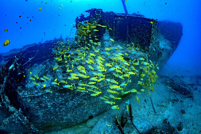 Waikiki: Atlantis Submarine Adventure - The guide and audio: what you hear (and how it stays useful)
