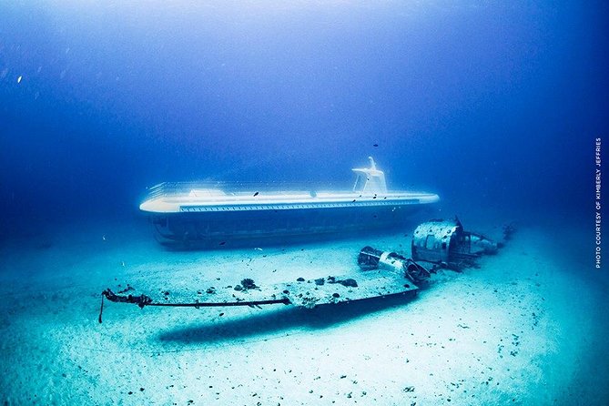 Waikiki: Atlantis Submarine Adventure - Who should book this and who should think twice