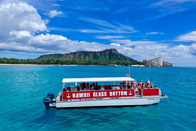 Waikiki Beach Glass Bottom Boat Cruise - Stop 1 at Kewalo Basin Harbor: Check-In, Deck Setup, and First Views