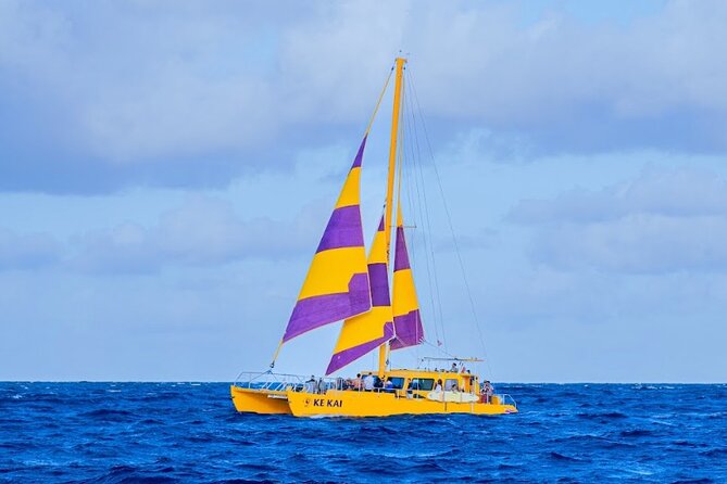 Waikiki Beach Sunset Sail - Who Should Book This Waikiki Sunset Sail?