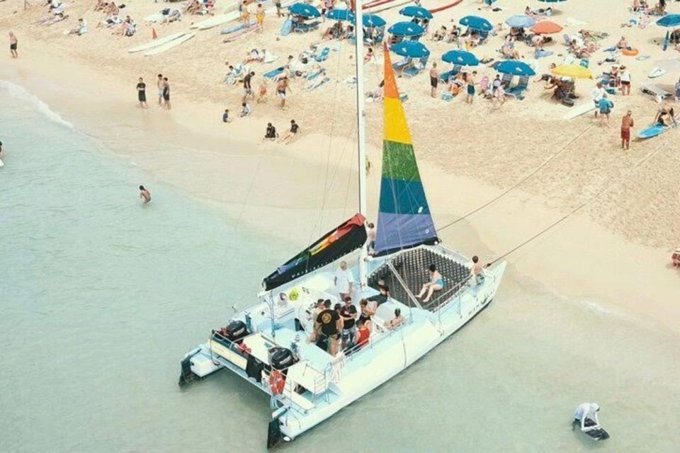 Waikiki Beach: Turtle Snorkeling and Sailing on Hāwea - Price and value: is $85 really fair for Waikiki turtle snorkeling?