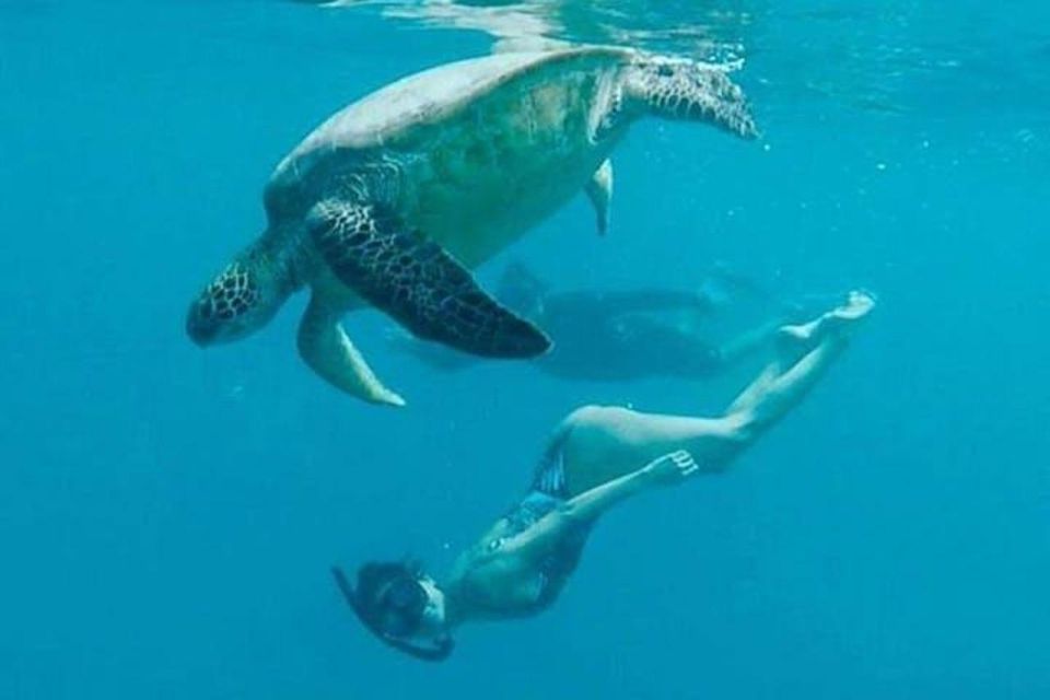 Waikiki Beach: Turtle Snorkeling and Sailing on Hāwea - Who should book, and who should skip it