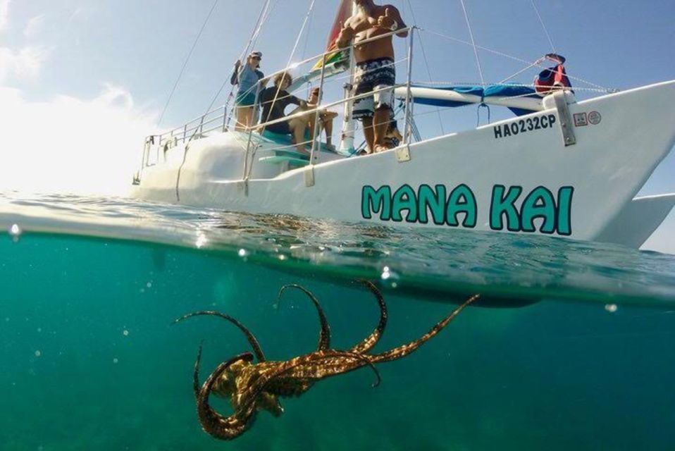 Waikiki Beach: Turtle Snorkeling and Sailing on Hāwea - Final verdict: should you book the Waikiki Turtle Snorkeling and Sailing on Hāwea?
