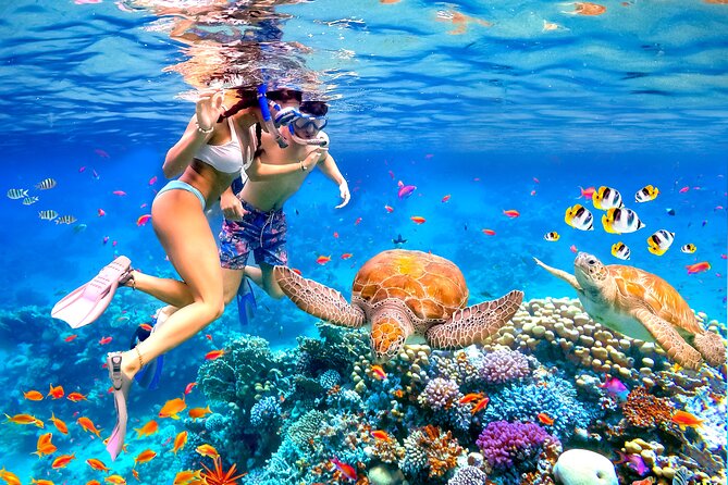 Waikiki Catamaran Escape: Snorkel with Turtles & Water Sports Fun - Timing, Check-In, and Where You Actually Meet