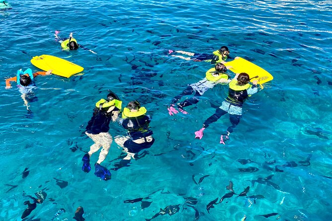 Waikiki Catamaran Escape: Snorkel with Turtles & Water Sports Fun - Snorkeling With Turtles: What You’re Really Signing Up For