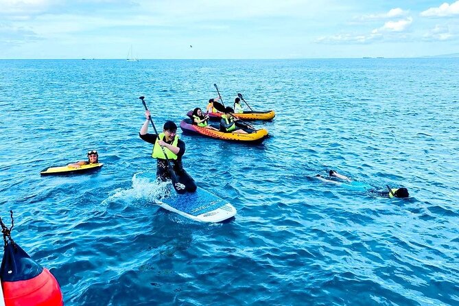Waikiki Catamaran Escape: Snorkel with Turtles & Water Sports Fun - Wildlife Possibilities: Dolphins and Whales in Season