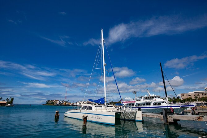 Waikiki Catamaran Snorkel Sail with Lunch: Turtles Guaranteed - Quick reality checks to make your day smoother