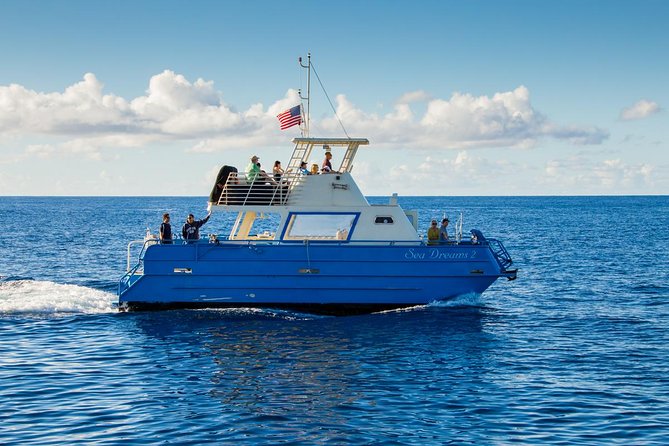 Waikiki Deluxe Catamaran Whale Watch - 6) On-Board Comfort: Seating, Size, and How the 2 Hours Actually Feels