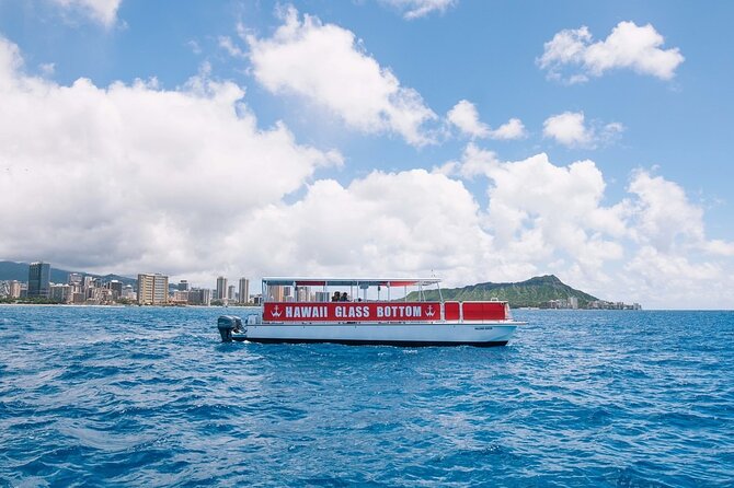 Waikiki Glass Bottom Boat Cruise - What wildlife you can realistically hope to see