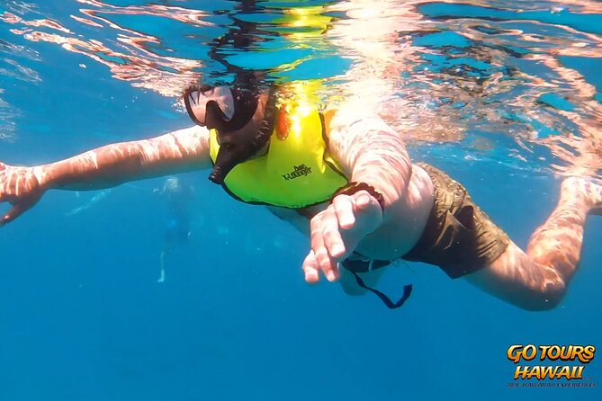 Waikiki Green Sea Turtle Snorkeling Tour - Boat Excursion - Captain-Led Snorkeling Instruction (Especially for First-Timers)