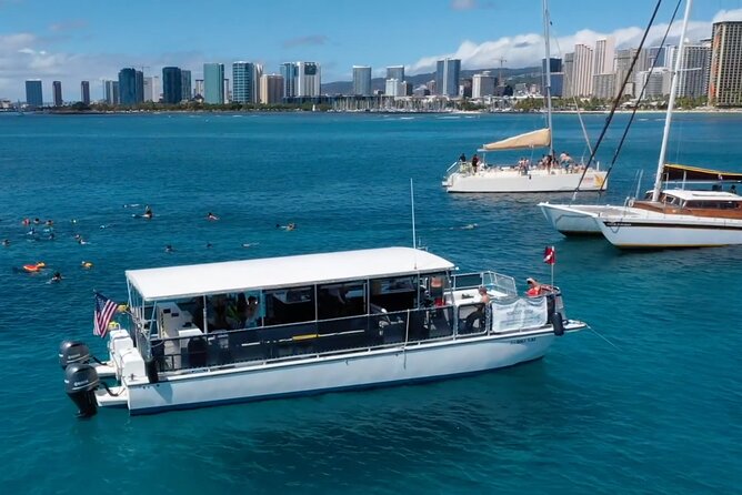 Waikiki Green Sea Turtle Snorkeling Tour - Boat Excursion - Price and Value: Is $129.99 Worth It?