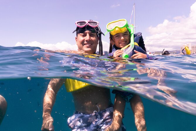 Waikiki Green Sea Turtle Snorkeling Tour - Boat Excursion - Common Snags to Watch For (So You Can Enjoy the Water)