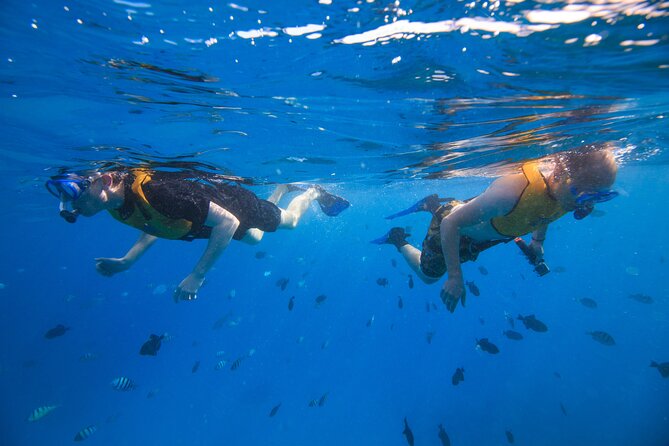 Waikiki, Hawaii: Deluxe Snorkel and Wildlife Cruise - The short cruise to the snorkeling spot (and why it matters)
