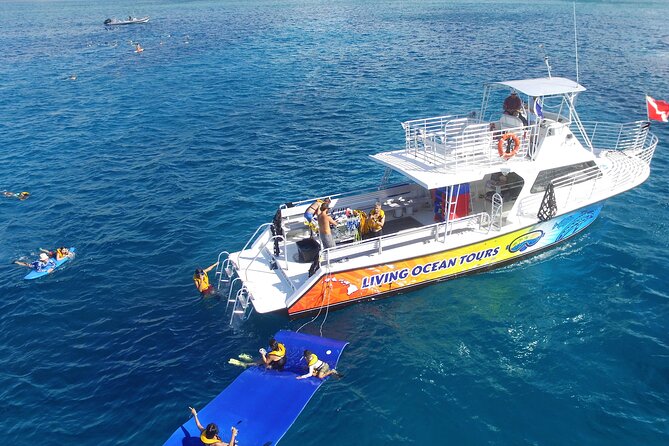 Waikiki, Hawaii: Turtle Canyon Snorkel Excursion - The Turtle Canyons snorkel: gear, safety, and how the guide actually helps