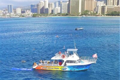Waikiki, Hawaii: Turtle Canyon Snorkel Excursion - Living Ocean Tours check-in, boat setup, and what to bring