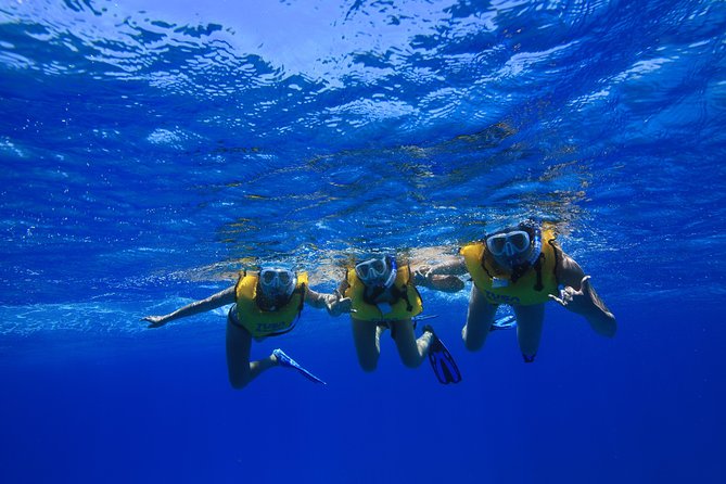 Waikiki, Hawaii: Turtle Canyon Snorkel Excursion - What you might see: turtles, reef fish, dolphins, and winter whales