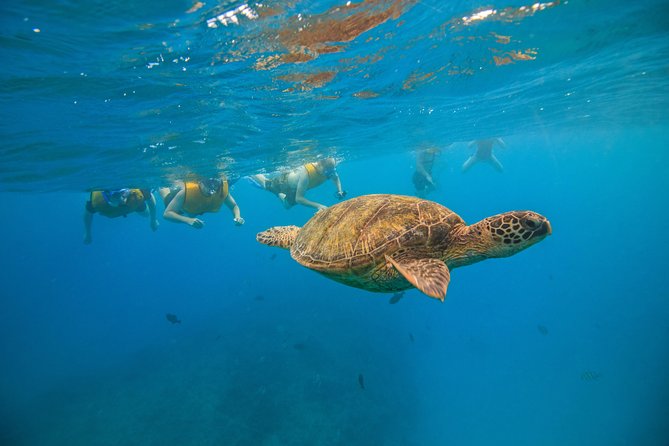 Waikiki, Hawaii: Turtle Canyon Snorkel Excursion - Waikiki Beach and Diamond Head: how the scenic bits fit in