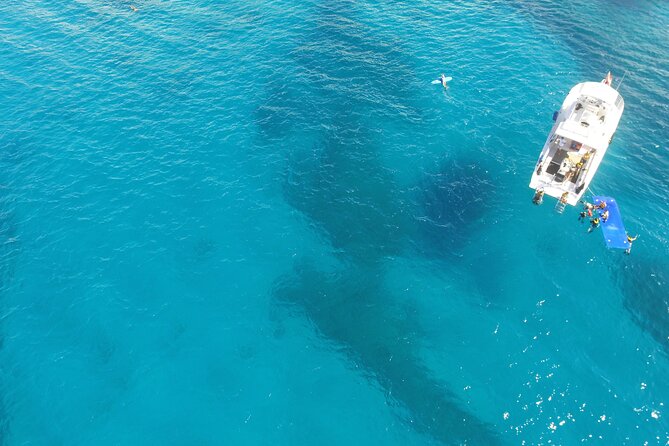 Waikiki, Hawaii: Turtle Canyon Snorkel Excursion - Food, comfort, and the motion-sickness checklist