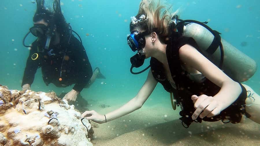 Waikiki: Honolulu Beginner Scuba Diving with Videos - Waikiki’s Magic Island Lagoon: Why this spot works for beginners