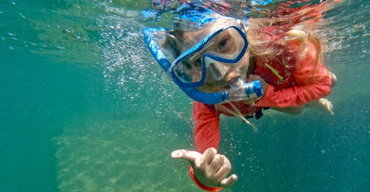 Waikiki: Honolulu Beginner Snorkeling Tour with Videos - Magic Island Lagoon in Waikiki: Why This Spot Works for Beginners