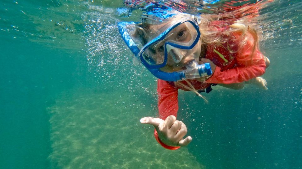 Waikiki: Honolulu Beginner Snorkeling Tour with Videos - Instructor Style: Calm Coaching Is the Real Luxury Here