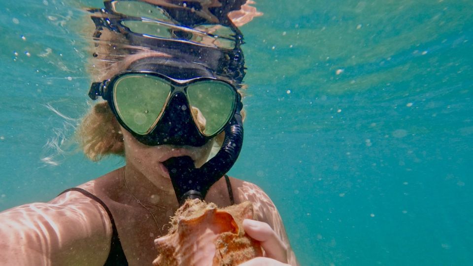 Waikiki: Honolulu Beginner Snorkeling Tour with Videos - Getting There and Finding Life Guard Tower 1G Without Stress