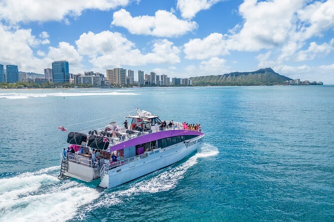 Waikiki, Oahu 2-Hour Whale Watching: Guaranteed Sightings - Meeting Pink Sails Waikiki on Holomoana St, and how to avoid delays