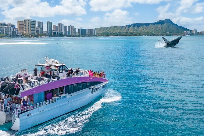 Waikiki, Oahu 2-Hour Whale Watching: Guaranteed Sightings - The 2-hour cruise: how the whale search actually works
