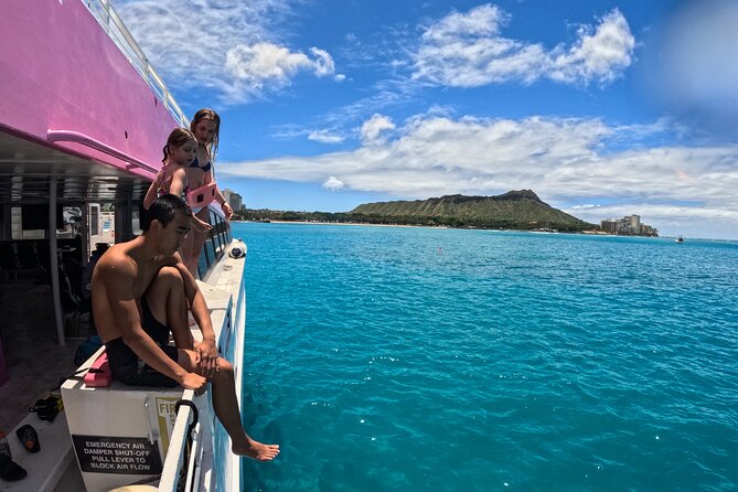 Waikiki, Oahu 2-Hour Whale Watching: Guaranteed Sightings - Spotting odds: humpback whales, plus dolphins and turtles