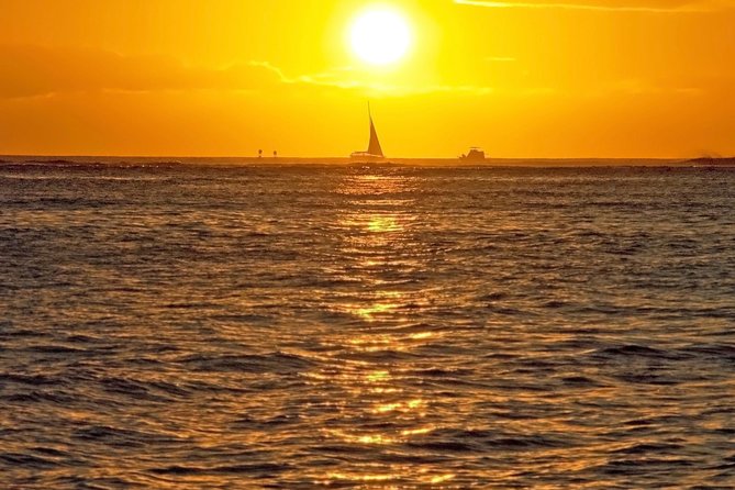 Waikiki Signature Sunset Catamaran Sail - Wildlife odds along the Waikiki coast (and how to think about the chances)