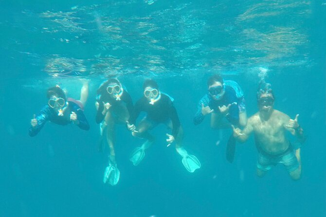 Waikiki small group turtle snorkeling & sailing - What’s included (and the stuff you must bring)