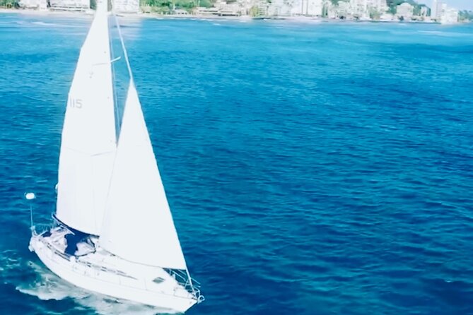 Waikiki small group turtle snorkeling & sailing - Dolphins, dolphins, dolphins: how the morning changes your odds