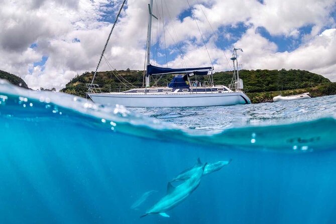 Waikiki small group turtle snorkeling & sailing - Price and value: $99 for 2 hours with a max of 6