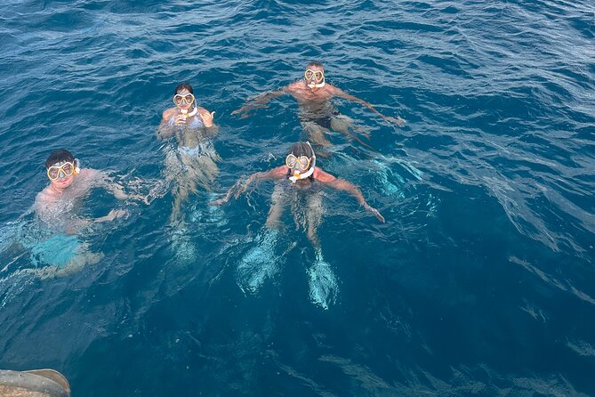 Waikiki small group turtle snorkeling & sailing - Who should book this tour (and who might not)