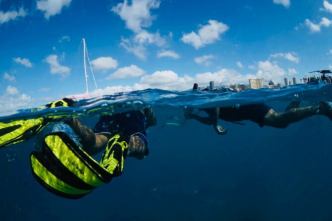 Waikiki Snorkel Tour - How Instruction Works Once You’re Swimming